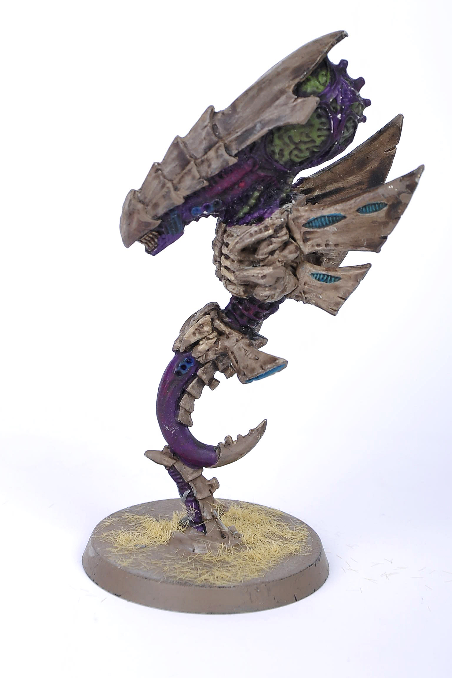 Zoanthrope.